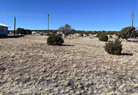 63 Alpine Lane, Concho, AZ 85924