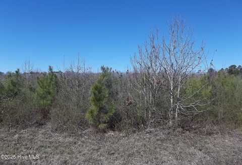 Lot #2 Boat Ramp Road, New Hope, NC 27944
