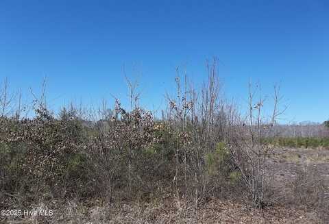 Lot #1 Boat Ramp Road, New Hope, NC 27944