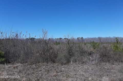 Lot #3 Boat Ramp Road, New Hope, NC 27944