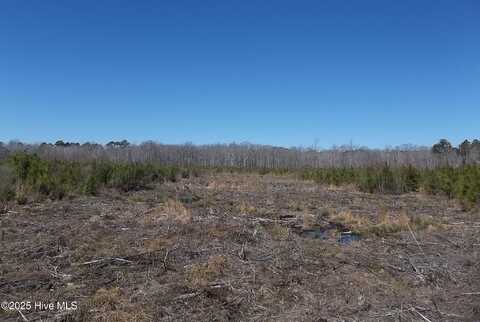 Lot#1 Risd Boat Ramp Road, New Hope, NC 27944