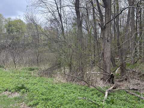 0 Ram Road, Schuyler Falls, NY 12962