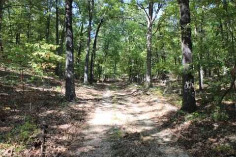 Abby Mine PL, Harrison, AR 72601