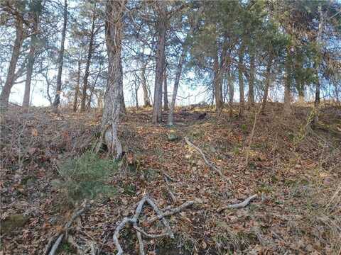 TBD Madison 2149 Lot #4, Huntsville, AR 72740
