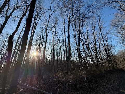 Tommy's Creek Road, ODD, WV 25902