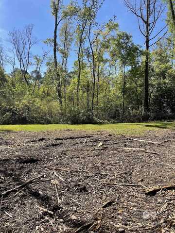 0 Cee Bee Street, Robertsdale, AL 36567
