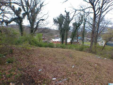 2409 MOORE AVENUE, ANNISTON, AL 36201