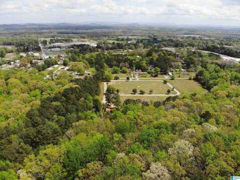 0 OLD SYLACAUGA HIGHWAY, CHILDERSBURG, AL 35044