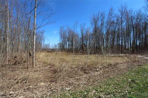 County Route 45, Palermo, NY 13036