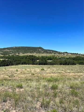 Lot 523 Emrich Park Way, Colorado City, CO 81019