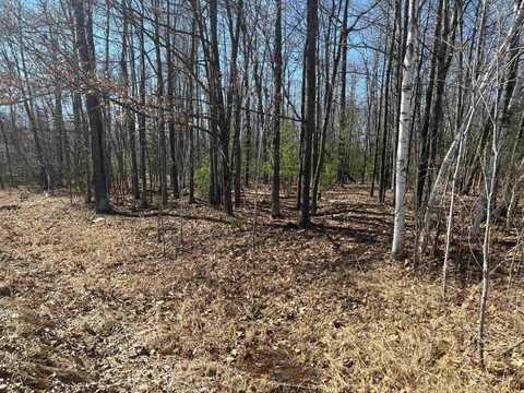 Pineway, Gladwin, MI 48624