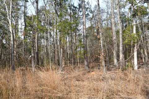 0 SC Hwy 391 & Maple Knoll Road, Prosperity, SC 29127