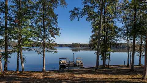 117 Peninsula Court, Prosperity, SC 29127
