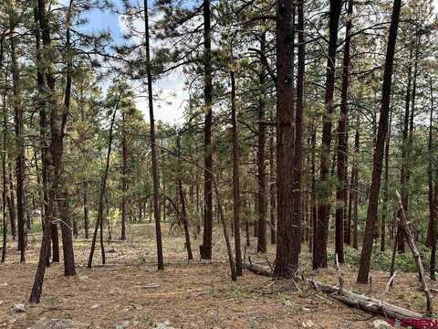 259 Hillside Circle, Bayfield, CO 81122