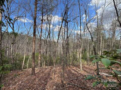 00 Grouse Ridge Drive, Bostic, NC 28018