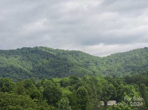 60 Gins Lane, Mars Hill, NC 28754