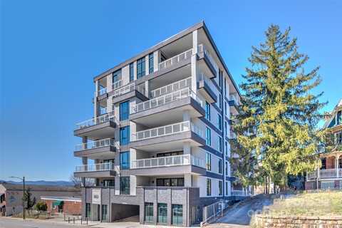 145 Biltmore Avenue unit: 205, Asheville, NC 28801