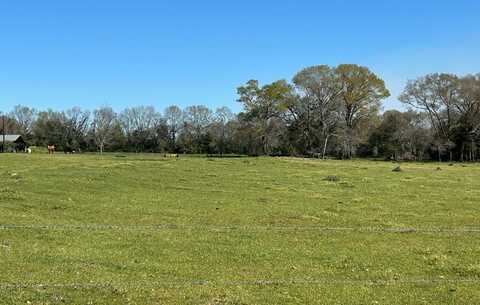 16.6+-ac Dale Cty Rd 530, Midland City, AL 36350