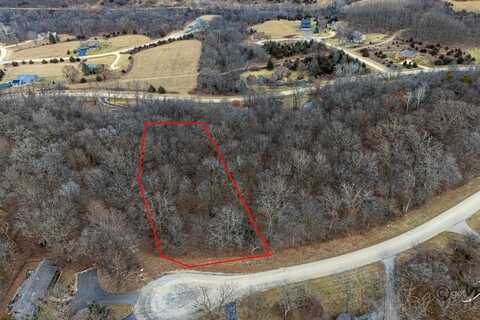 45 Lookout, Galena, IL 61036