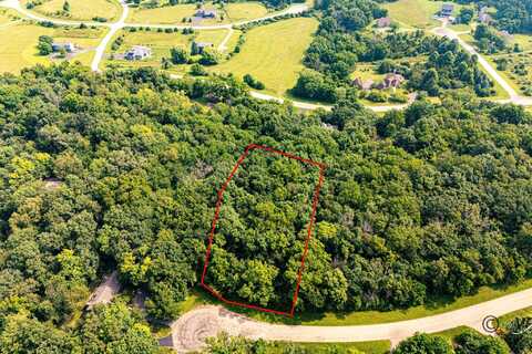 45 Lookout, Galena, IL 61036