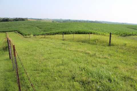 000 30th, Wyoming, IA 52362