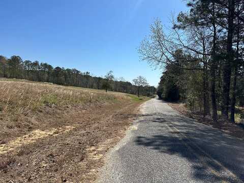 0 Kasey Drive, Abbeville, AL 36310