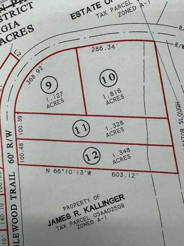 Lot # 12 Tanglewood Trail Subdivision, Georgetown, GA 39854
