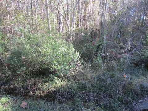 Lot 12 Churchill Bayou Road, Santa Rosa Beach, FL 32459