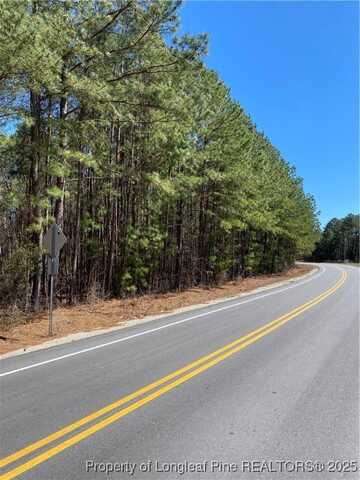 Brisson Road, Parkton, NC 28371