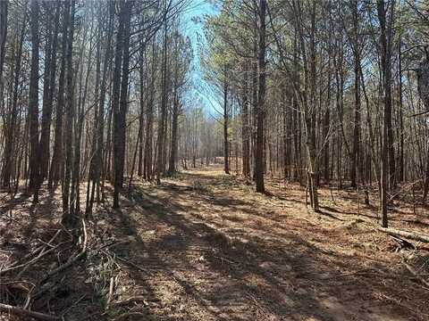 11-/+ Patriot, Dahlonega, GA 30533