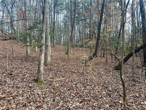 Lot 28 Fern Park Drive, Dawsonville, GA 30534