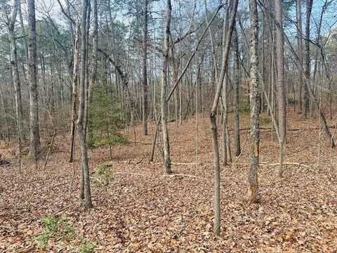 Lot 28 Fern Park Drive, Dawsonville, GA 30534