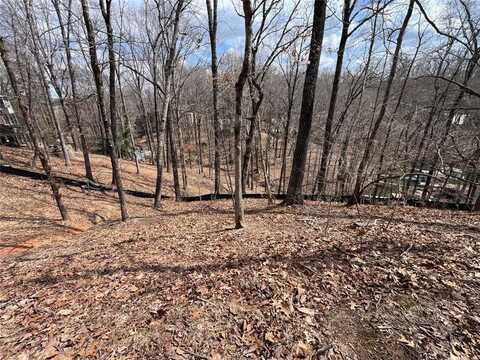 3393 BANKS MOUNTAIN Drive, Gainesville, GA 30506