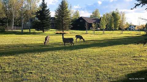 Lot 129 E Graf Street, Bozeman, MT 59715