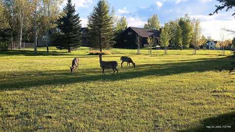 E Graf Street lot: 129, Bozeman, MT 59715
