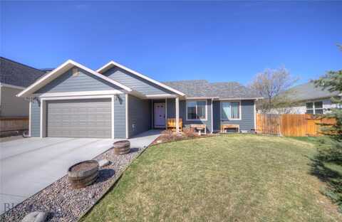 813 Pleiades Place, Livingston, MT 59047