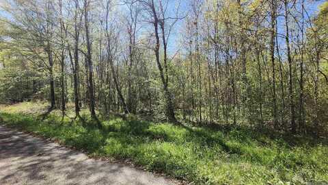 Tbd Sunnybrook Dr, Baton Rouge, LA 70814
