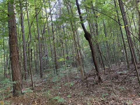 5.10 Acres Hwy 123, Toccoa, GA 30577