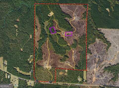 293 Ac Hopewell, Forsyth, GA 31029