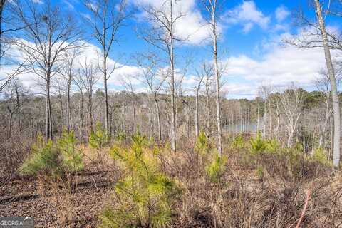 Lot 163 Lecroy, Ellijay, GA 30540