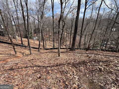 3393 BANKS MOUNTAIN, Gainesville, GA 30506