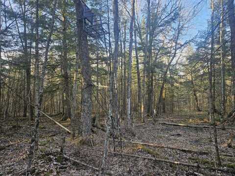 N1343 TEN CROSSING RD, Ogema, WI 54459