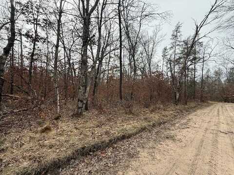 Vl Springfield Avenue, Idlewild, MI 49642
