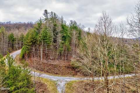 Lot 41 Black Maple Way, Del Rio, TN 37727