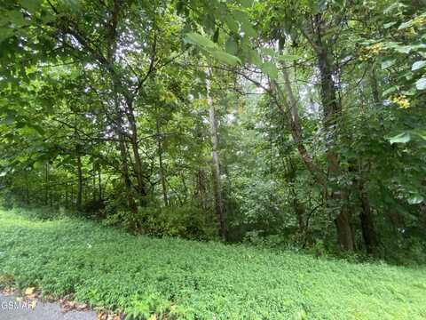 0 Eagles Cove Parkway, Maynardville, TN 37807