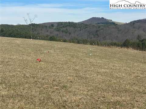 Lot 12 Turtle Ridge Road, Sparta, NC 28675