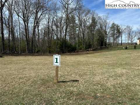 Lot 1 Turtle Ridge Road, Sparta, NC 28675