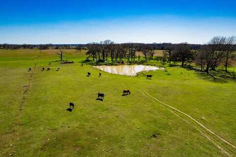 TBD CR 2404, Kemp, TX 75143