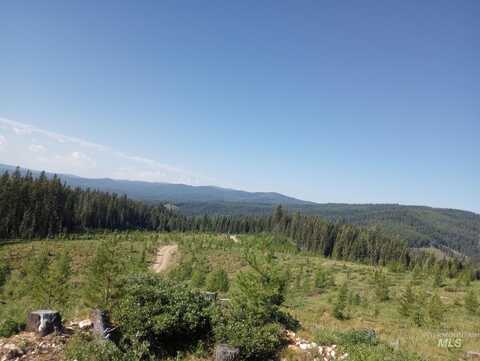 Tbd French Gulch Rd Parcel 2 & 3, Elk City, ID 83525