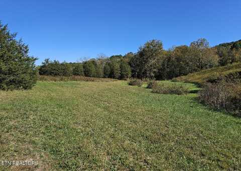 Shoreline Vista, Sharps Chapel, TN 37866